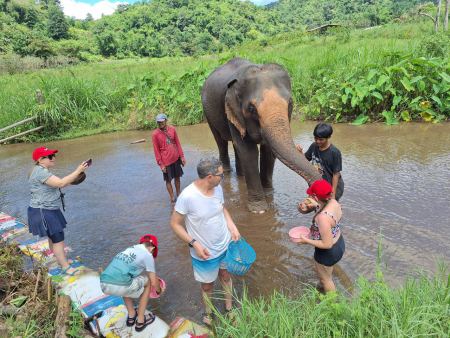 Elephant Care - photo album cover