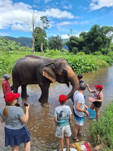 The elephant reaching for a treat from the family - lifeonwheel.com