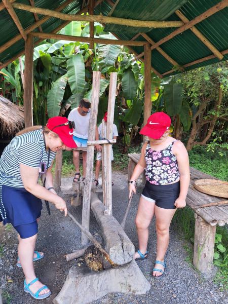 Grinding herbal medicine for the elephants - lifeonwheel.com
