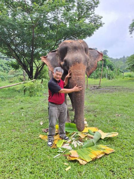 Standing beside an elephant with banana leaves for treats - lifeonwheel.com