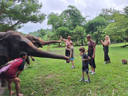 Guests offering treats to a curious elephant - lifeonwheel.com