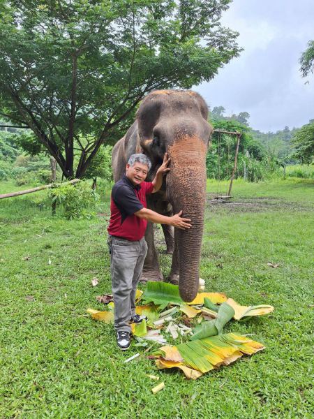A hug for the elephant after feeding it leaves - lifeonwheel.com
