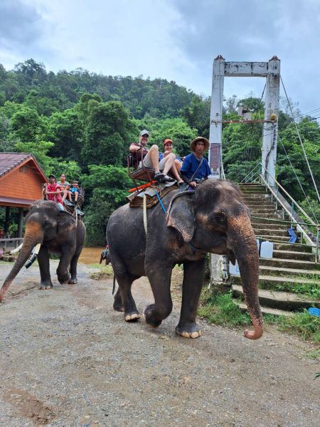 Riding an elephant across the suspension bridge crossing - lifeonwheel.com