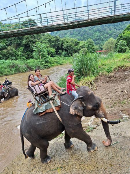Riding an elephant through the shallow river - lifeonwheel.com