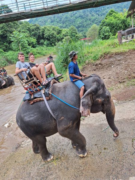 Guests riding an elephant beneath the swing bridge - lifeonwheel.com