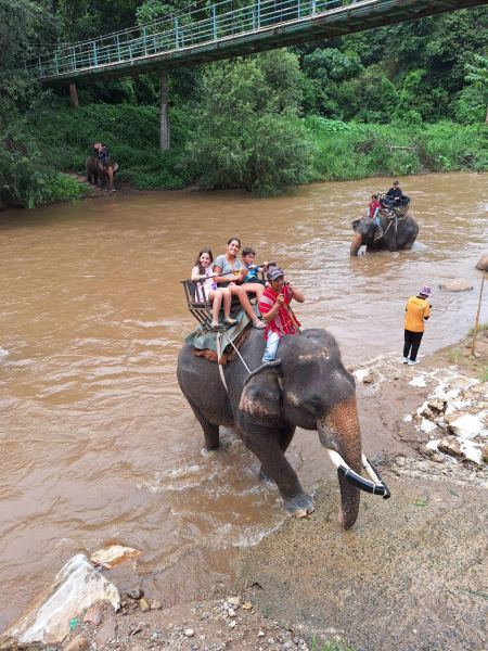 Riding an elephant across the river below the bridge - lifeonwheel.com