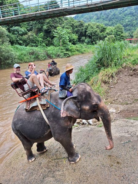 Two guests riding an elephant past the suspension bridge - lifeonwheel.com