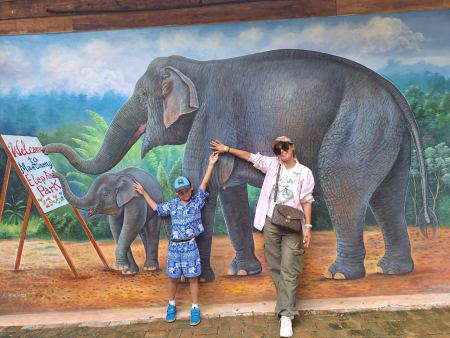 A family with the painted elephant mural at the park - lifeonwheel.com