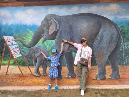 Reaching up to the trunk of the painted mother elephant - lifeonwheel.com