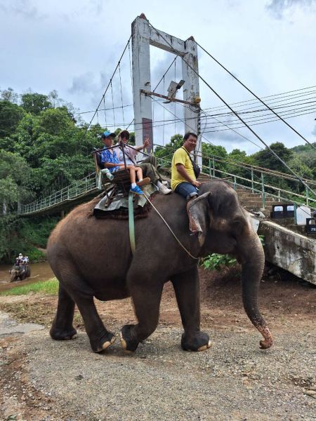 Riding an elephant across the old suspension bridge - lifeonwheel.com