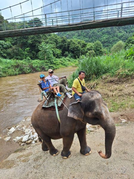 Guests riding through the river beneath the bridge - lifeonwheel.com
