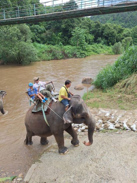 Riding an elephant along the riverbank at the bridge - lifeonwheel.com