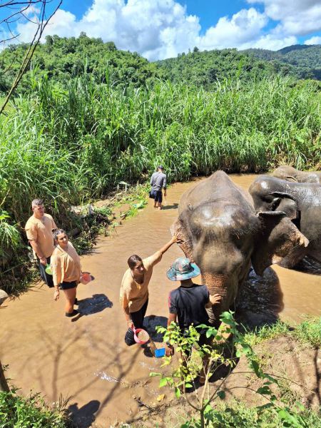 Guests visiting the elephants along the jungle stream - lifeonwheel.com