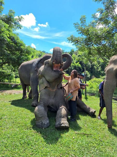 An elephant lying down for a scratch and a treat - lifeonwheel.com