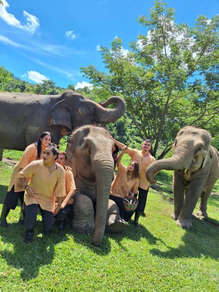 A group in matching shirts surrounding a seated elephant - lifeonwheel.com