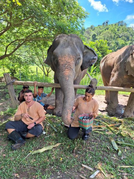 Feeding sugarcane to elephants with the family watching - lifeonwheel.com