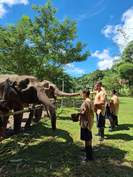 Young staff in matching uniforms feeding an elephant - lifeonwheel.com