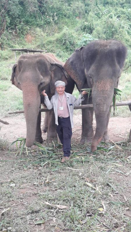 Our guide standing between two elephants at the fence - lifeonwheel.com