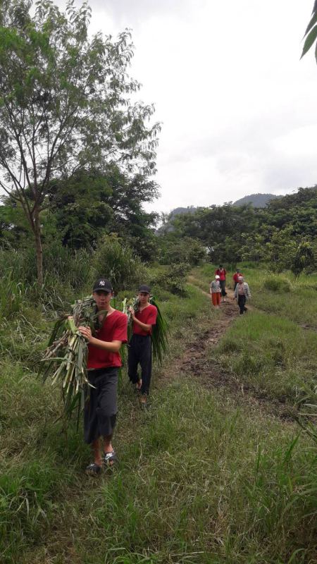 Walking the trail carrying fresh elephant food - lifeonwheel.com