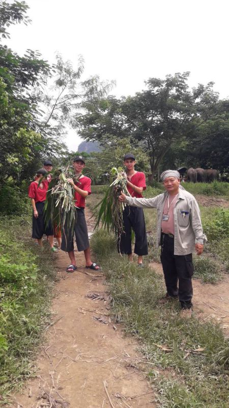 The group with armfuls of leaves for the elephants - lifeonwheel.com