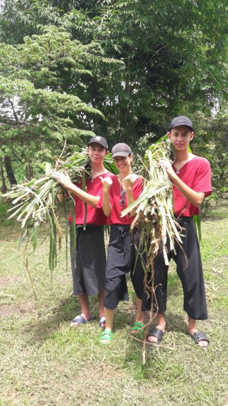 Three guests holding bundles of elephant greens - lifeonwheel.com