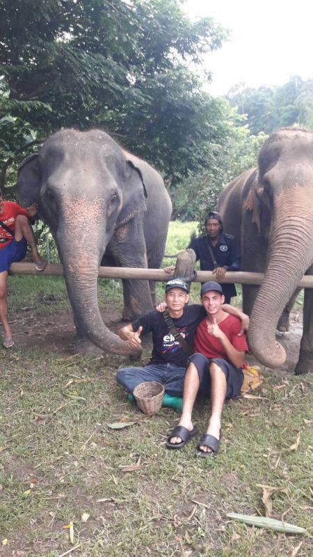 Thumbs up seated between two elephants - lifeonwheel.com