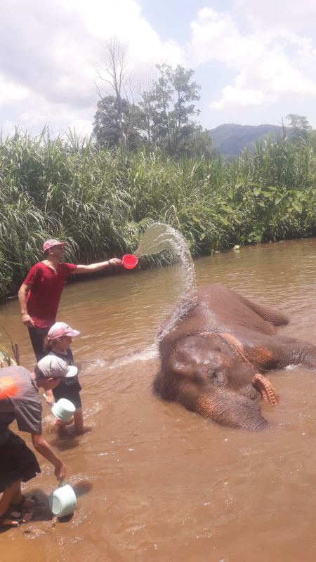 Splashing water over a bathing elephant in the river - lifeonwheel.com