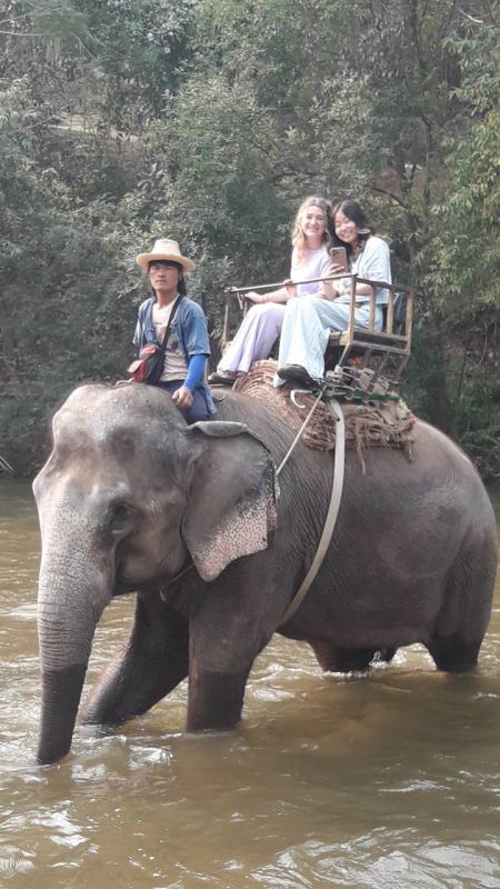 Riding an elephant through the shallow water together - lifeonwheel.com