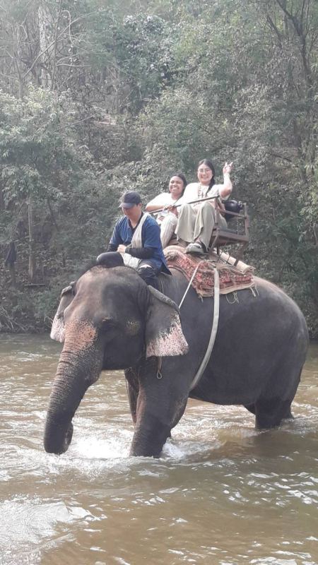 Three guests riding an elephant along the riverbank - lifeonwheel.com