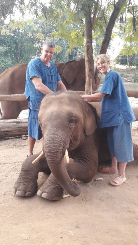 A couple in blue mahout outfits with a young elephant - lifeonwheel.com