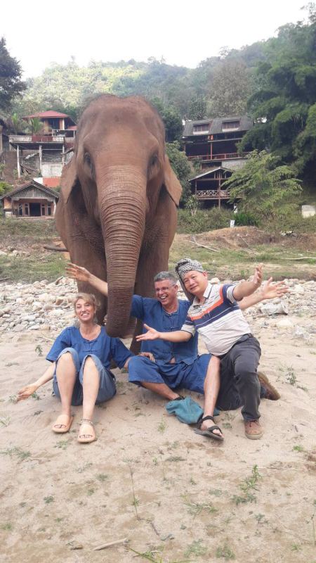 An elephant reaching out to greet three guests - lifeonwheel.com