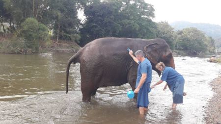 Bathing an elephant in the river together - lifeonwheel.com