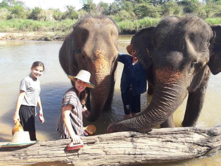 Two girls washing an elephant with scrub brushes - lifeonwheel.com