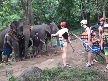 Helmets on before the zipline course beside the elephants - lifeonwheel.com