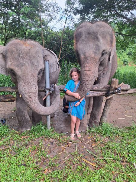 A girl between two elephants reaching for her at the fence - lifeonwheel.com