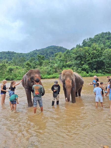 Guests bathing two elephants together in the river - lifeonwheel.com