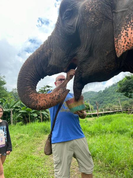 Feeding a tall elephant by hand from a basket - lifeonwheel.com