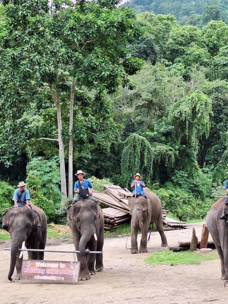 Mahouts riding elephants past a welcome sign - lifeonwheel.com