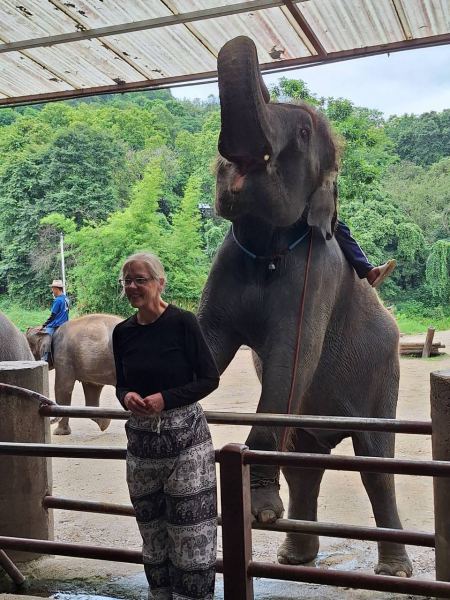 An elephant raising its trunk beside a smiling guest under shelter - lifeonwheel.com