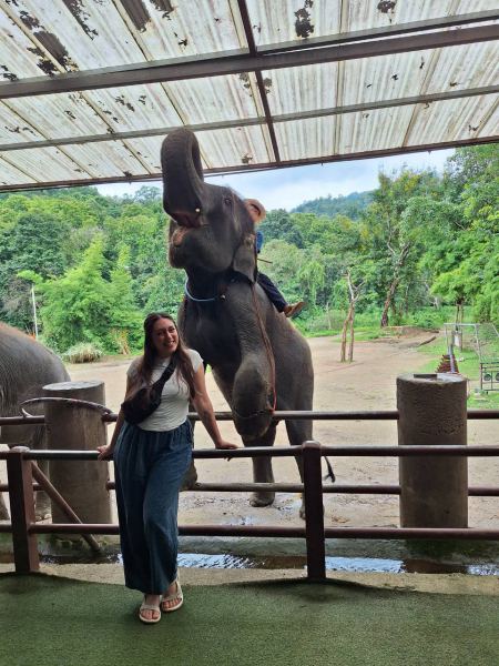 A guest posing with an elephant reaching its trunk overhead - lifeonwheel.com