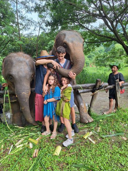 A family bonding with two elephants at a wooden fence - lifeonwheel.com