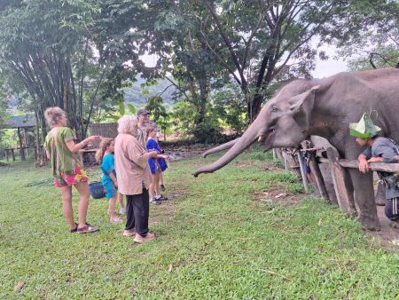 A family group feeding an elephant reaching over a wooden fence - lifeonwheel.com