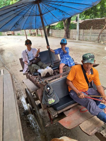 Ox Cart Ride - photo album cover