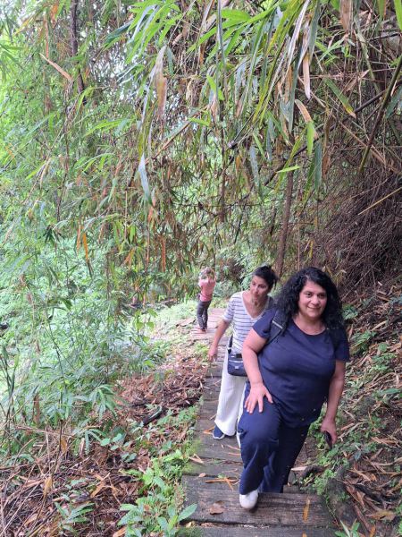 Trekkers climbing wooden steps through a bamboo grove - lifeonwheel.com