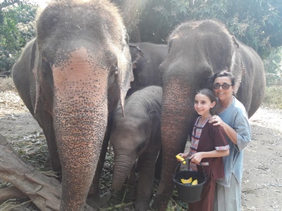 Chiang Mai and Northern Thailand tour photo 30 - lifeonwheel.com