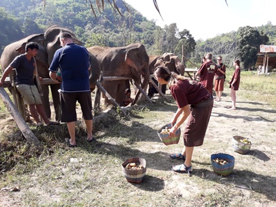 Chiang Mai and Northern Thailand tour photo 56 - lifeonwheel.com